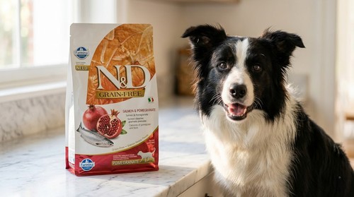 Farmina N&D grain-free dog food with salmon — best dog food brand in Europe 2026 by FAMMO